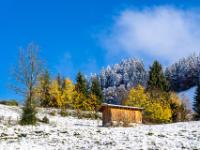 An der Schneegrenze mit verschneitem Nadelwald und leuchtenden Herbstbäumen